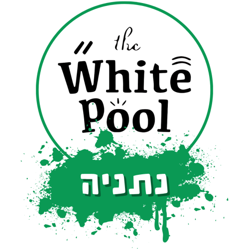 לוגו סניף נתניה